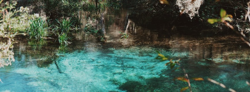 Exploring Natural Springs in Florida