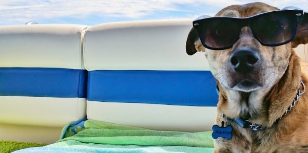 Dog Friendly Hotels Palm Beach, FL