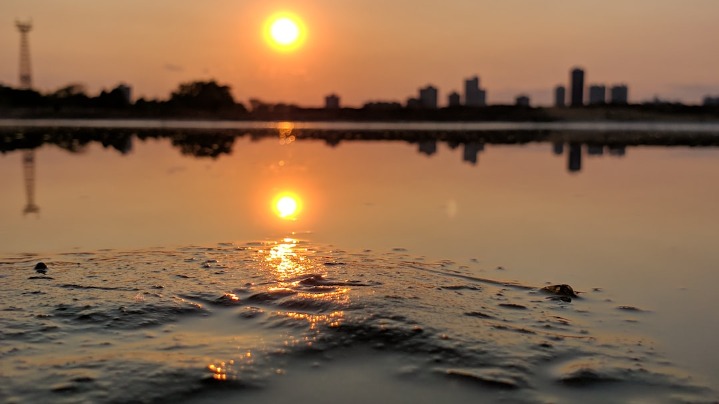 Montrose Beach