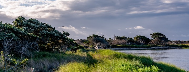 Ocracoke Island