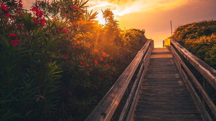 The Outer Banks