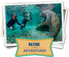 nature adventures florida