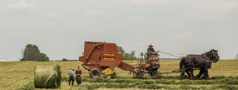 Amish and Mennonite Heritage Center