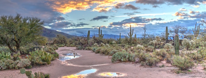 Sabino Canyon