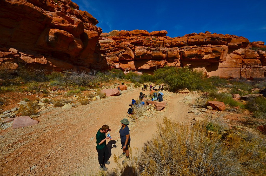 Hualapai Canyon