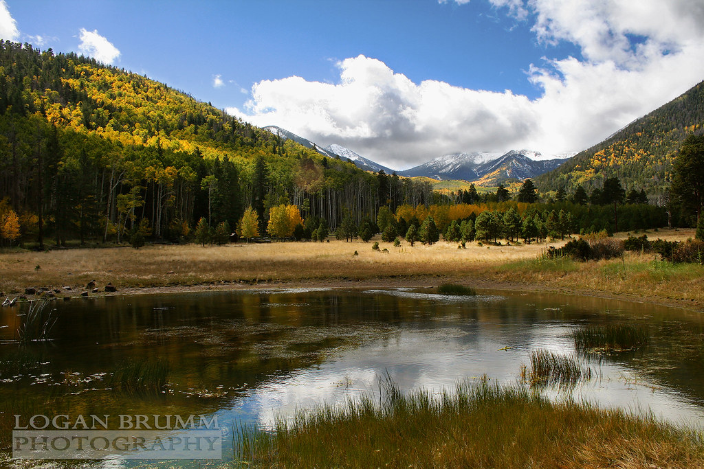 Lockett Meadow