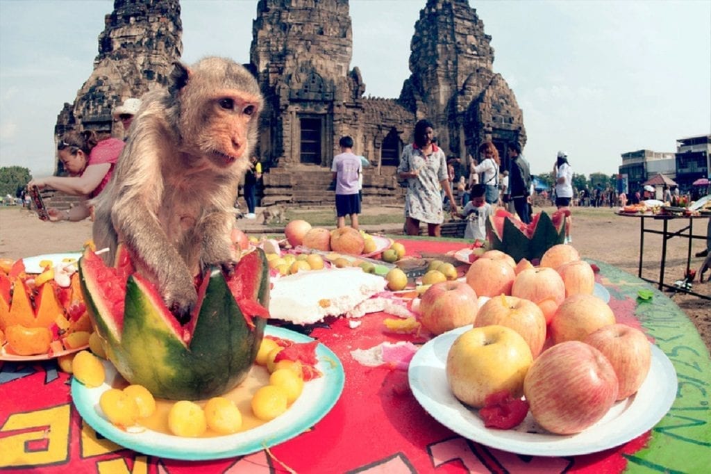 Monkey Buffet Festival