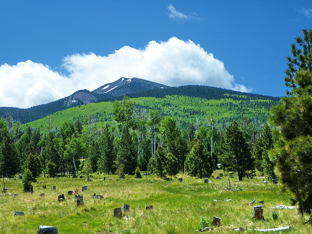 Humphreys Peak