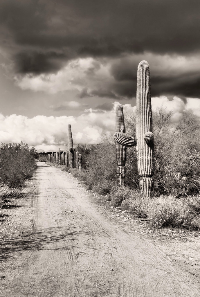 Vulture City - AZ