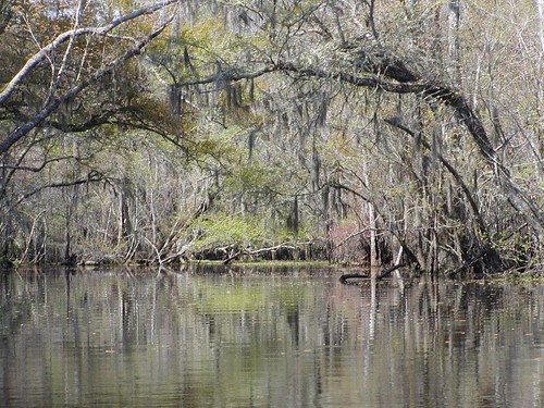 Black River, SC