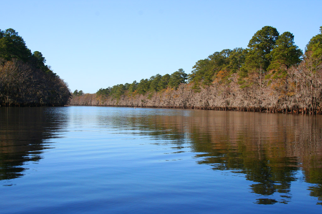 Caddo Lake State Park