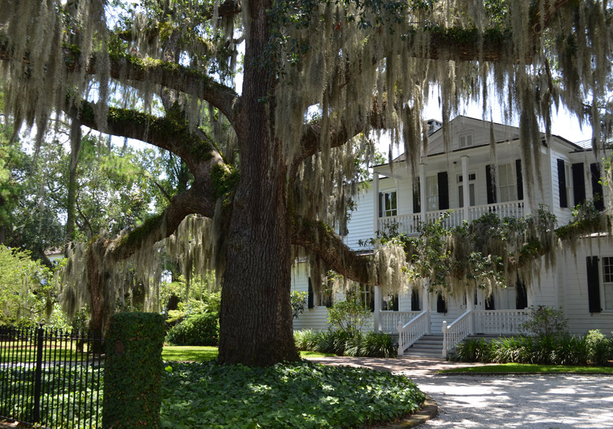 Moorlands Beaufort SC