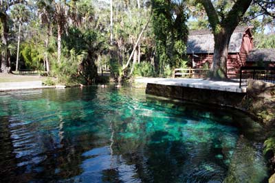 A view of Juniper Springs