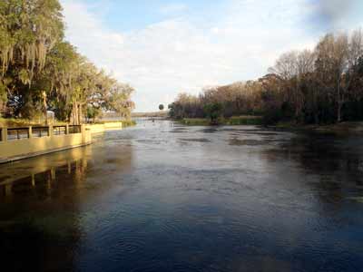 A view of Salt Springs