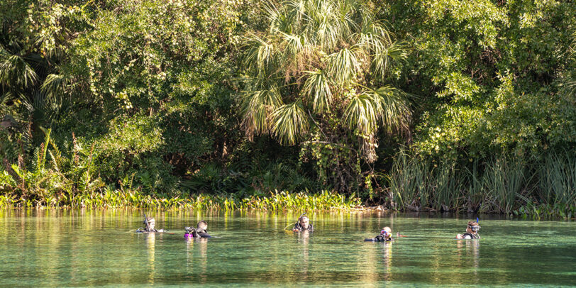 Alexander Springs Wilderness