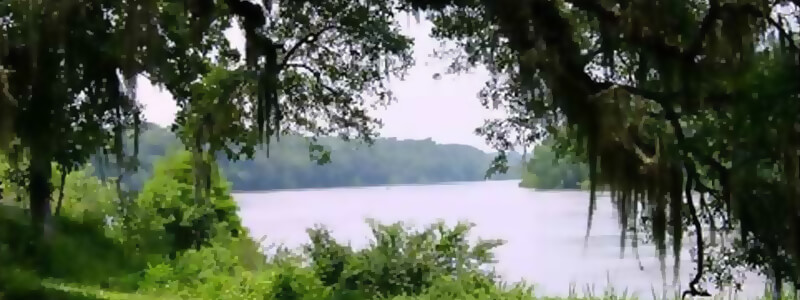 Apalachicola River