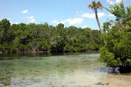 Florida's Silver Glen Springs