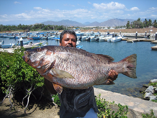 La Playita fishing