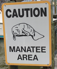 Manatee Sign