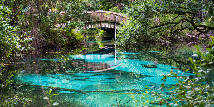 National Forests in Florida - Ocala National Forest