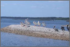 St. Augustine Eco Tours