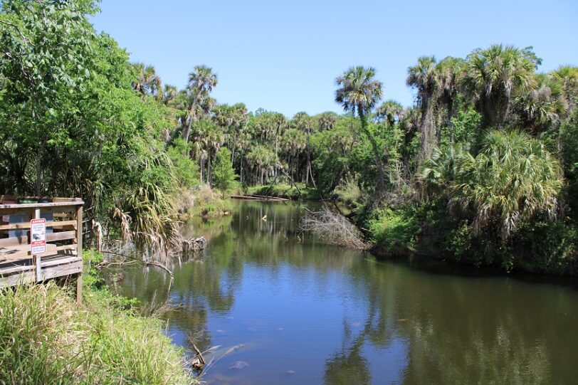 Turkey Creek Sanctuary