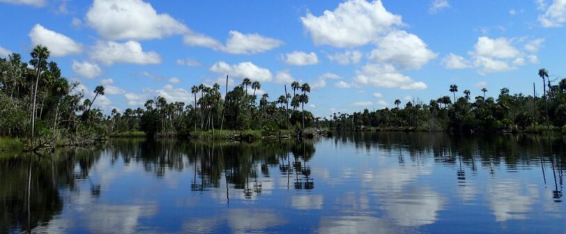 Wild Places of Waccasassa Bay Preserve | Florida State Parks