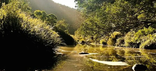 Alexander Springs Wilderness