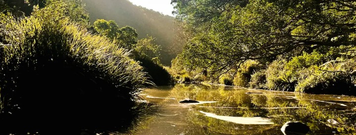 Alexander Springs Wilderness