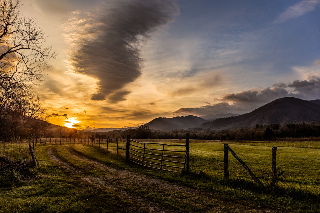 Cades Cove Pasture