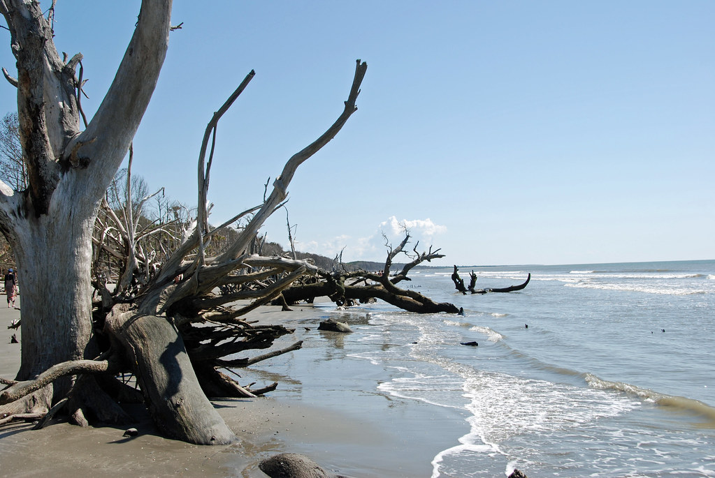 Capers Island, SC