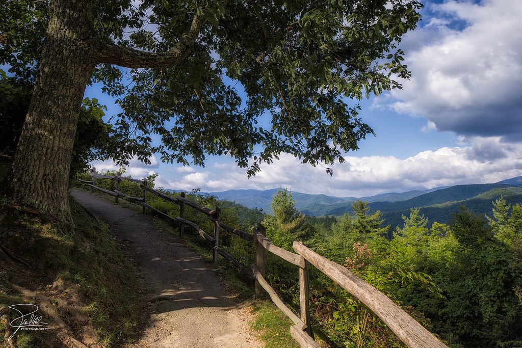 Cataloochee Valley Overlook