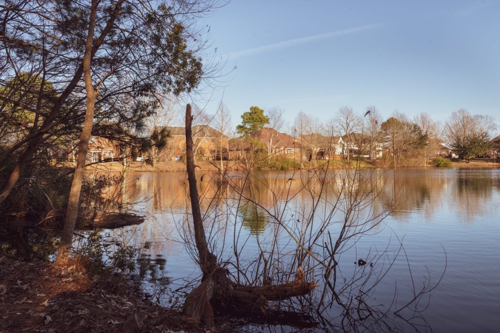 Chesapeake Arboretum