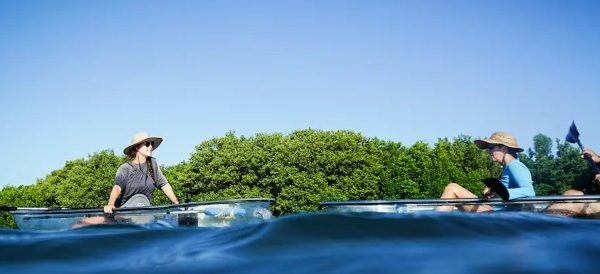 Florida Water Adventures