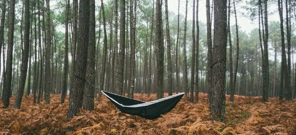 Gulf Hammock Florida