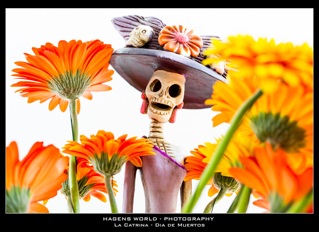 La Catrina - Dia de Muertos