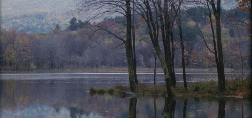 Lake Wyola - Shutesbury, MA