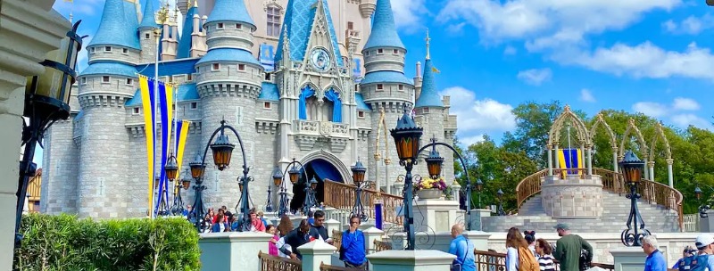 Walt Disney World Long Line