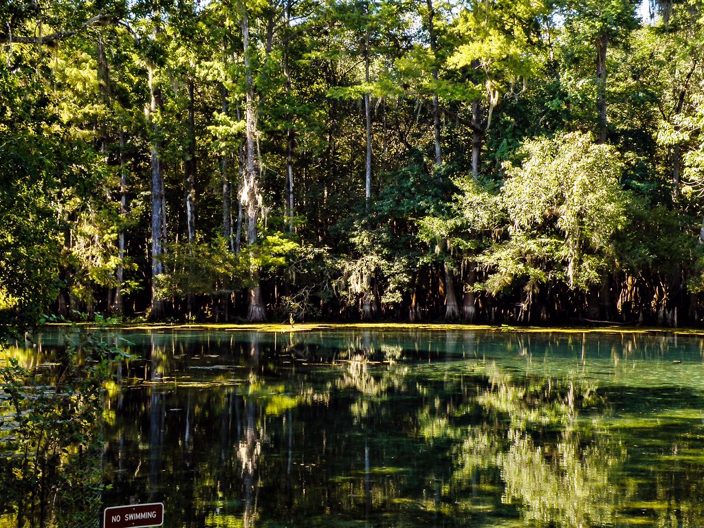 Manatee Springs State Park