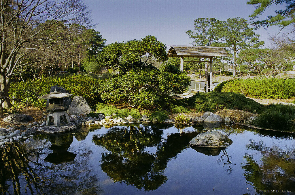 Japanese Garden at Norfolk Botanical Garden