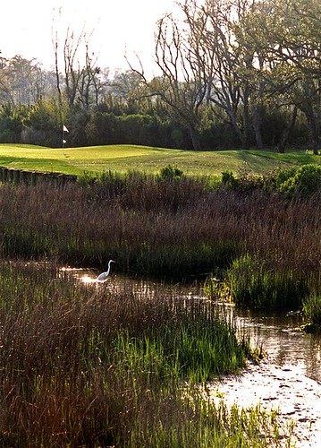 Pawleys Plantation Golf & Country Club