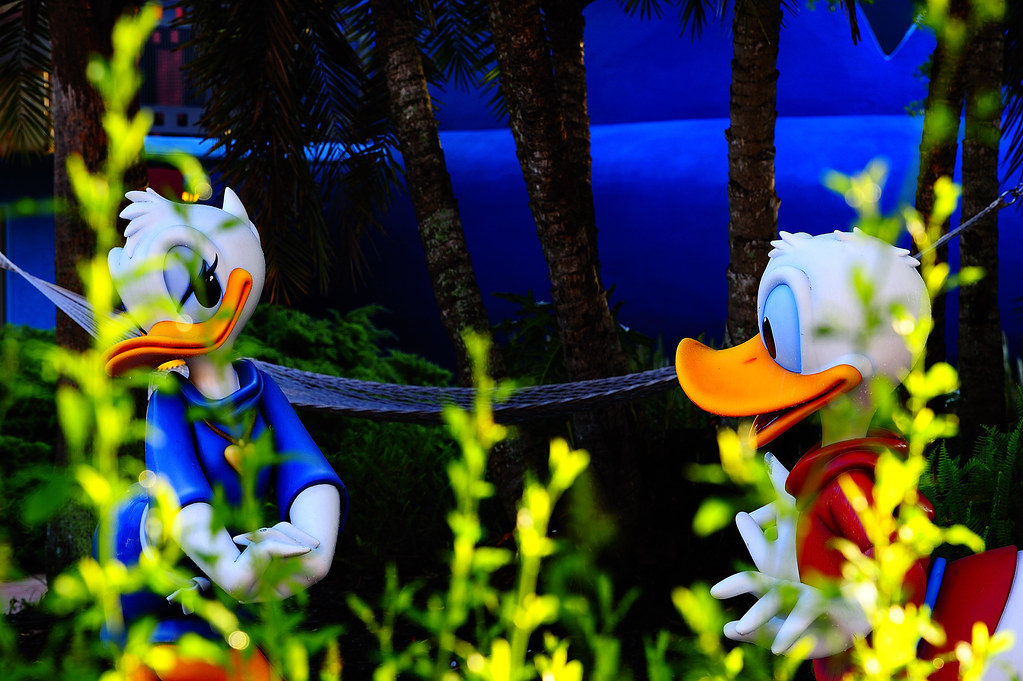 Romance at the Disney Resorts