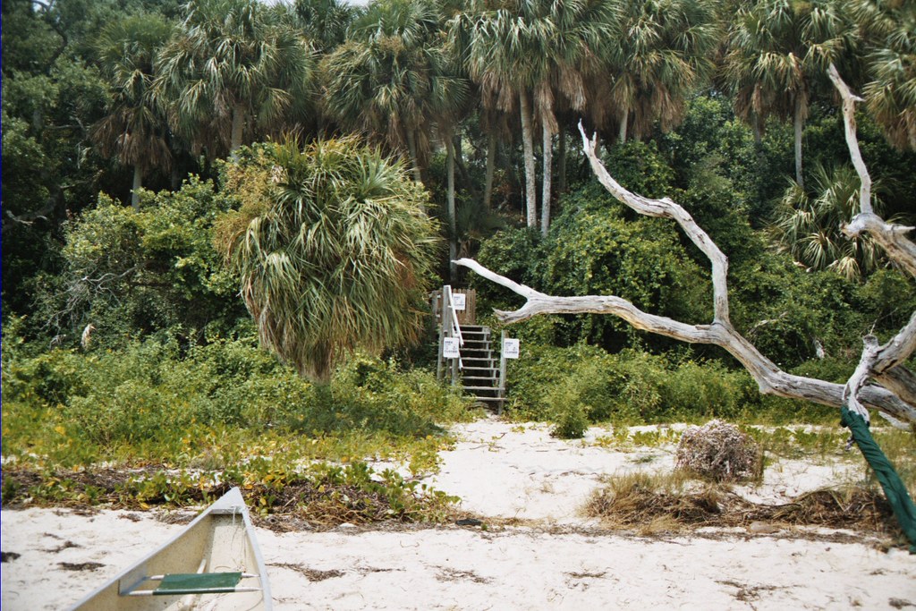 Seahorse Key