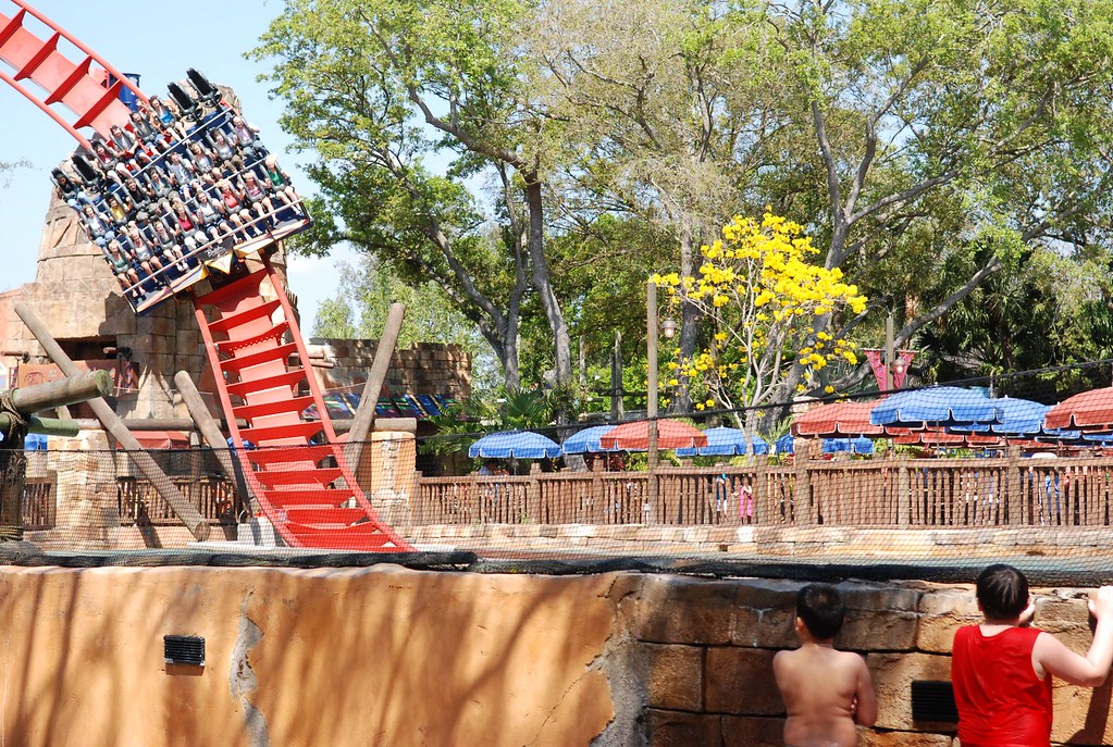 SheiKra Busch Gardens