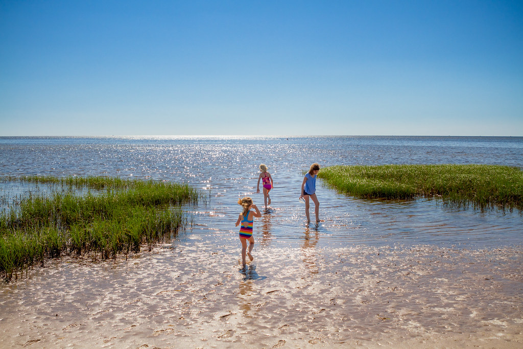 Steinhatchee, Florida