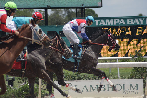 Tampa Bay Downs Florida