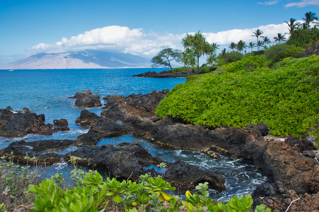 Wailea Walk Coastline