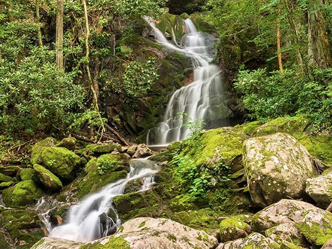 Waterfalls in The Smokies