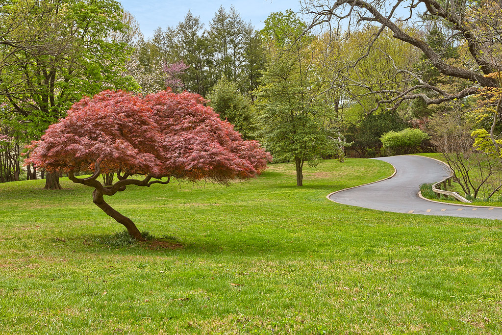 Woodend Sanctuary Maryland