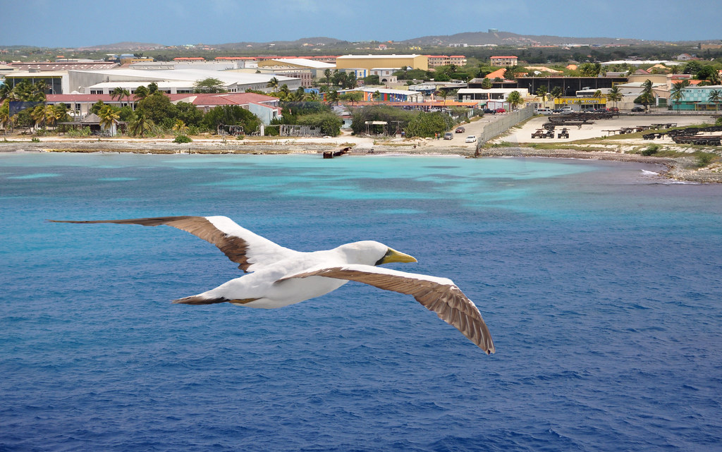 Aruba